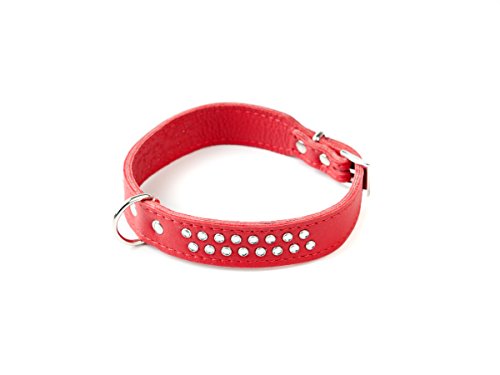 Doggy Things Italienisches mit Halsband von Doggy Things
