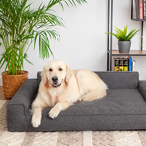 DOGGY Hundebett, Katzenbett, Hundesofa, Abnehmbar Bezug, mittelgroße Hunde, Möbel für Tiere, Hundeliege, Schlafplätze, Waschbar, XL: 98x66 cm, Graphit DOGGY Hundebett, Katzenbett, Hundesofa, Abnehmbar Bezug, mittelgroße Hunde, Möbel für Tiere, Hundeliege, Schlafplätze, Waschbar, XL: 98x66 cm, Graphit von DOGGY