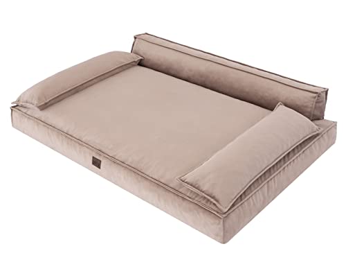 DOGGY Hundebett Haustierbett Hundeliegen Hundecouch Liegen Hundekissen Bett Sofa Hundekorb Tierbett Weich Hundesofa Matratze Schlafplãtze, Beige, 99 x 66 cm DOGGY Hundebett Haustierbett Hundeliegen Hundecouch Liegen Hundekissen Bett Sofa Hundekorb Tierbett Weich Hundesofa Matratze Schlafplãtze, Beige, 99 x 66 cm von DOGGY