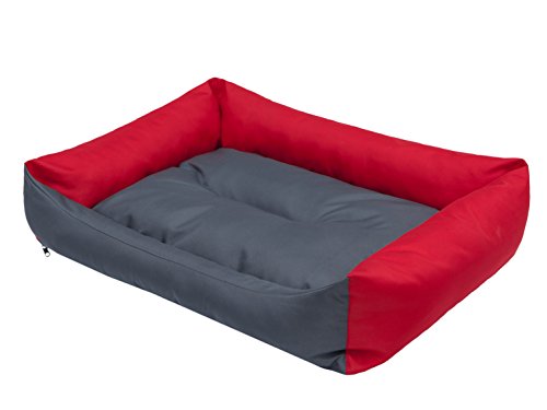 DOGGY Hundebett Katzenbett Haustierbett Katzenliege Hundeliege Hundekissen Hundematratze Tierbett Hundesofa Matratze, Grau und rot, XL - 82 x 60 cm DOGGY Hundebett Katzenbett Haustierbett Katzenliege Hundeliege Hundekissen Hundematratze Tierbett Hundesofa Matratze, Grau und rot, XL - 82 x 60 cm von DOGGY