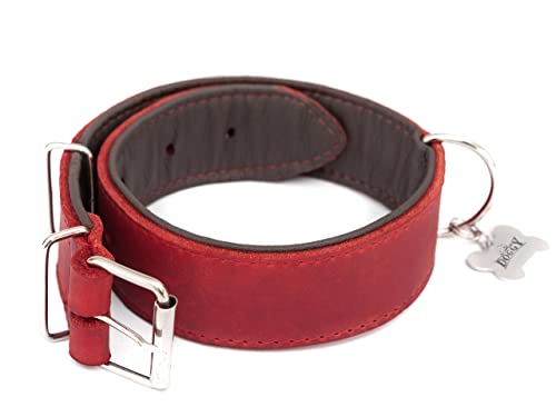 Hundehalsband Leder, Lederhalsband Hund, Halsband, Leder, Metallschnalle, Rot, R3: 65 x 4 cm von DOGGY