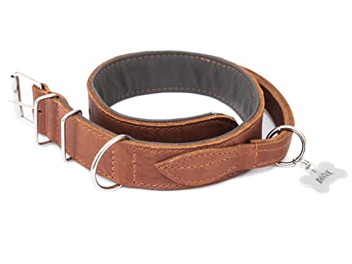 Hundehalsband Leder mit Griff, Lederhalsband Hund, Halsband, Metallschnalle, Hell Braun, 47-54 cm von DOGGY