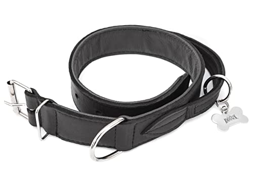 Hundehalsband Leder mit Griff, Lederhalsband Hund, Halsband, Metallschnalle, Schwarz, 47-54 cm von DOGGY