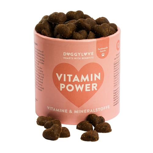 DoggyLove Vitamin Power – Vitamin & Mineralstoffe, für aktive Hunde, Vitamin A, B1, B2, B6, B12, D3, E, Biotin, Stärkung des Energiehaushalts & Immunsystems, Power-Snack, Premium Hundeleckerli DoggyLove Vitamin Power – Vitamin & Mineralstoffe, für aktive Hunde, Vitamin A, B1, B2, B6, B12, D3, E, Biotin, Stärkung des Energiehaushalts & Immunsystems, Power-Snack, Premium Hundeleckerli von DoggyLove