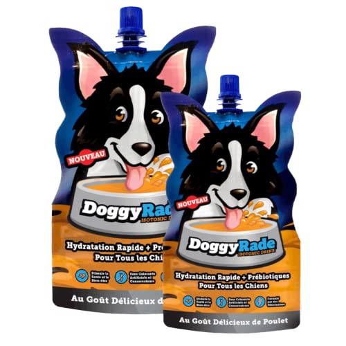 Trinkwasser für Hunde – 250 ml – DoggyRade – Isotonisch, erfrischend und energisierend von DoggyRade
