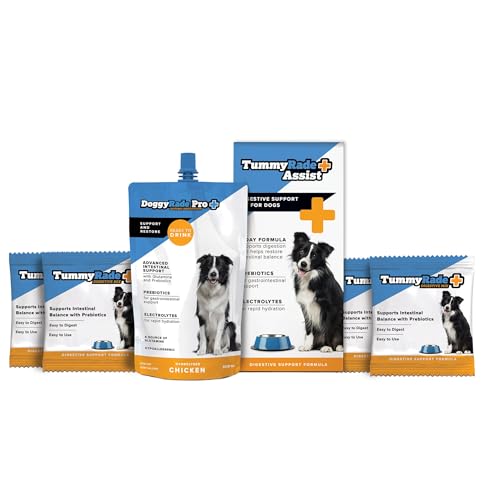 TummyRade Assist Verdauungsunterstützungs-Set für Hunde, 500 ml Getränk + 4 x 50 g Satchet – Präbiotika – Elektrolyte – Darmunterstützung TummyRade Assist Verdauungsunterstützungs-Set für Hunde, 500 ml Getränk + 4 x 50 g Satchet – Präbiotika – Elektrolyte – Darmunterstützung von DoggyRade