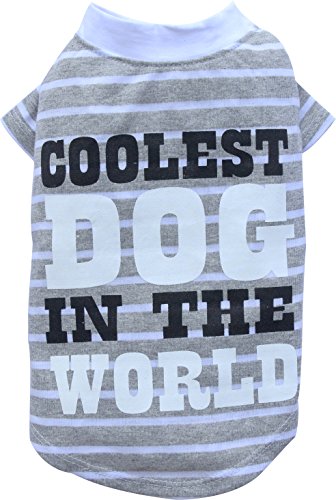 Doggy Dolly BD215 Big Dog Hundeshirt Coolest Dog für Große Hunde, grau/weiß Gestreift, Größe : XXS von Doggydolly