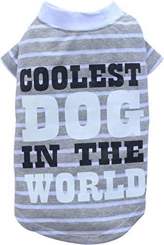 Doggy Dolly BD215 Big Dog Hundeshirt Coolest Dog für Große Hunde, grau/weiß Gestreift, Größe : XXS Doggy Dolly BD215 Big Dog Hundeshirt Coolest Dog für Große Hunde, grau/weiß Gestreift, Größe : XXS von Doggydolly