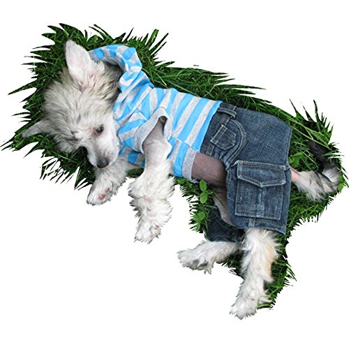 Doggydolly Trendige Jeans-Kaputzenshirt Kombination für Wilde Straßenfeger und mondsüchtige. von Doggydolly