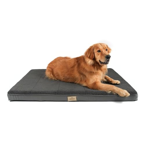 Doghouse Premium Hundebett Grosse Hunde 120x75x9cm Hundematte Waschbar, Hundekissen flauschig, Hundematratze für Grosse Hunde XL in Anthrazit ergonomisch Doghouse Premium Hundebett Grosse Hunde 120x75x9cm Hundematte Waschbar, Hundekissen flauschig, Hundematratze für Grosse Hunde XL in Anthrazit ergonomisch von Doghouse Premium