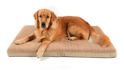 Doghouse Premium orthopädisches Hundebett Grosse Hunde 120x75x9cm Hundematte Waschbar, Hundekissen flauschig, Hundematratze für Grosse Hunde XL in Beige Doghouse Premium orthopädisches Hundebett Grosse Hunde 120x75x9cm Hundematte Waschbar, Hundekissen flauschig, Hundematratze für Grosse Hunde XL in Beige von Doghouse Premium