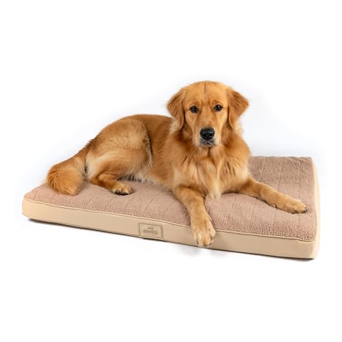 Doghouse Premium Hundebett Mittelgrosse Hunde 100x65x9cm Hundematte Waschbar, Hundekissen flauschig, Hundematratze für Mittelgrosse Hunde in Beige Doghouse Premium Hundebett Mittelgrosse Hunde 100x65x9cm Hundematte Waschbar, Hundekissen flauschig, Hundematratze für Mittelgrosse Hunde in Beige von Doghouse Premium