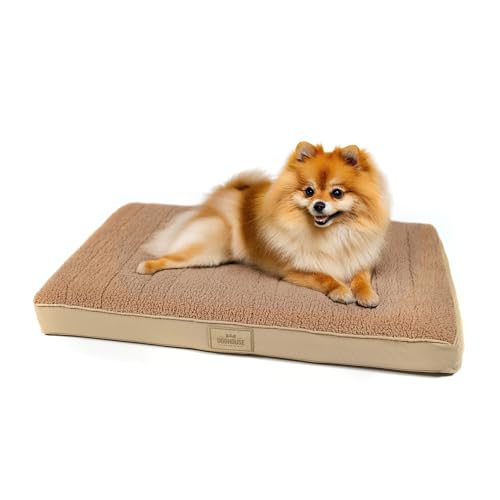 Doghouse Premium orthopädisches Hundebett kleine Hunde 77x51x9cm Hundematte Waschbar, Hundekissen flauschig, Hundematratze für kleine Hunde in Beige Doghouse Premium orthopädisches Hundebett kleine Hunde 77x51x9cm Hundematte Waschbar, Hundekissen flauschig, Hundematratze für kleine Hunde in Beige von Doghouse Premium
