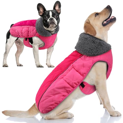 Doglay Hunde-Winterjacke, wasserdicht, reflektierend, warmes Fleecefutter, Schneemantel für kleine bis große Hunde Doglay Hunde-Winterjacke, wasserdicht, reflektierend, warmes Fleecefutter, Schneemantel für kleine bis große Hunde von Doglay