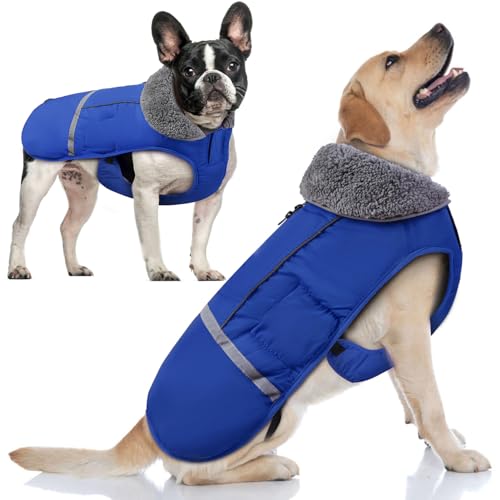 Doglay Hunde-Wintermantel mit dickem Pelzkragen, reflektierende warme Haustierjacke, wasserdicht, winddicht, Hundekleidung für kaltes Wetter, mittelgroße und große Hunde (klein, blau) von Doglay