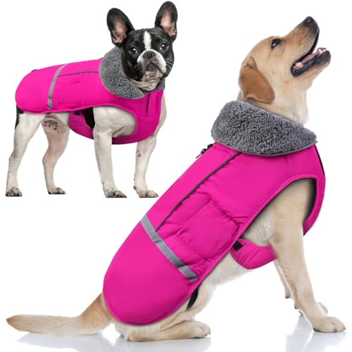 Doglay Hunde-Wintermantel mit dickem pelzigem Halsband, reflektierend, warm, wasserdicht, winddicht, Hundekleidung für kaltes Wetter, mittelgroße und große Hunde (M, Rosa) von Doglay