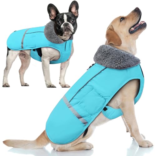 Doglay - Hundemantel, wasserdichte Hundejacke, Wintermantel für Hunde bei kaltem Wetter mit dickem pelzigen Kragen, reflektierende Winterjacke für Hunde, warmes Fleecefutter von Doglay