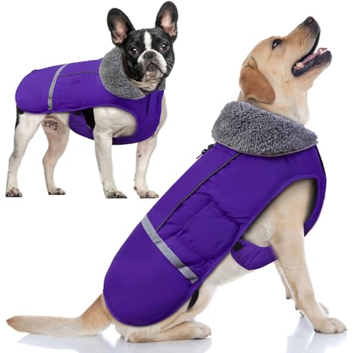 Doglay Reflektierender Hunde-Wintermantel für Haustiere, warme Weihnachtskleidung, wasserdicht, winddicht, kaltes Wetter, weiche Welpenweste für kleine, mittelgroße und große Hunde von Doglay