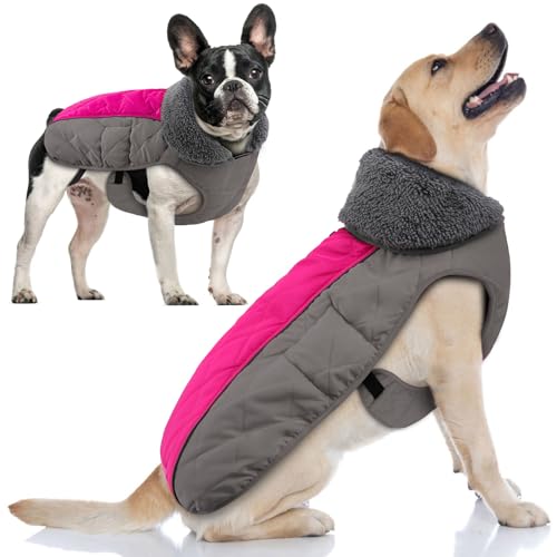Doglay Wasserdichte Hundejacke für kaltes Wetter mit dickem und behaartem Kragen, reflektierende Winterjacke für Hunde, warme Fleece-Jacke von Doglay