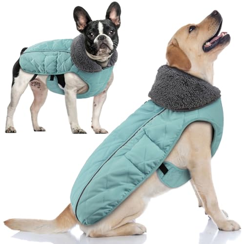 Doglay Wasserdichter Hundemantel, Wintermantel für kaltes Wetter, mit dickem Kragen und Fell, reflektierende Winterjacke für Hunde, mit warmem Fleecefutter Doglay Wasserdichter Hundemantel, Wintermantel für kaltes Wetter, mit dickem Kragen und Fell, reflektierende Winterjacke für Hunde, mit warmem Fleecefutter von Doglay