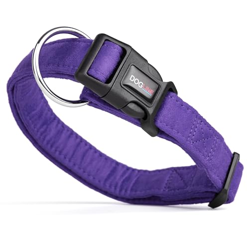 Dogline Hundehalsband aus Mikrofaser, flach, 2,5 cm breit, 38,1 cm lang, 63,5 cm, Violett Dogline Hundehalsband aus Mikrofaser, flach, 2,5 cm breit, 38,1 cm lang, 63,5 cm, Violett von Dogline