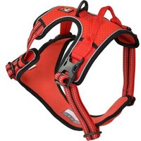 Dogs Creek Geschirr Pathfinder rot L von Dogs Creek