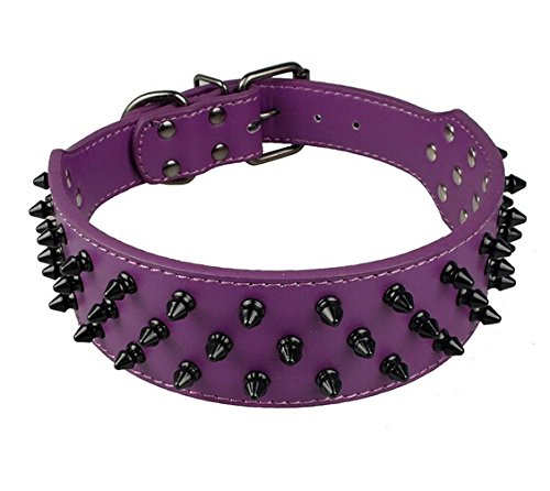 Dogs Kingdom Hundehalsband, Leder, mit Nieten, 5,1 cm breit, 31 Spikes, 52 Nieten, Schwarz von Dogs Kingdom