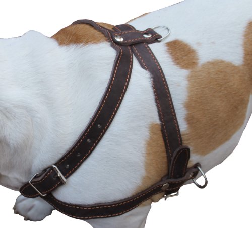 Hohe Qualität Leder Hund ziehen Walking Geschirr. 83,8 cm – 94 cm Brust, 2,5 cm breiten Trägern. Pitt Bull, Rottweiler von Dogs My Love