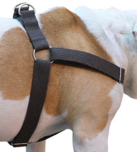 Hundegeschirr zum Hineinsteigen aus Baumwollgewebe, verstellbar, Größe XL: Brustumfang 53,3 cm - 94 cm, Braun Hundegeschirr zum Hineinsteigen aus Baumwollgewebe, verstellbar, Größe XL: Brustumfang 53,3 cm - 94 cm, Braun von Dogs My Love