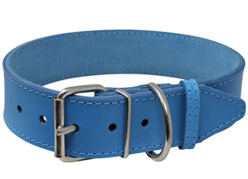 Hundehalsband, Echtleder, Blau, 7 Größen (48,3 - 57,1 cm Halsumfang, 3,8 cm breit) von Dogs My Love