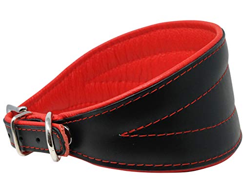 Hundehalsband, Echtleder, extra breit, gepolstert, spitz zulaufend, für Windhunde, Saluki, Hirsch, Lurcher, Whippet, Dackel, 27,9 cm - 33 cm Halsumfang, 5,1 cm breit, Rot Hundehalsband, Echtleder, extra breit, gepolstert, spitz zulaufend, für Windhunde, Saluki, Hirsch, Lurcher, Whippet, Dackel, 27,9 cm - 33 cm Halsumfang, 5,1 cm breit, Rot von Dogs My Love