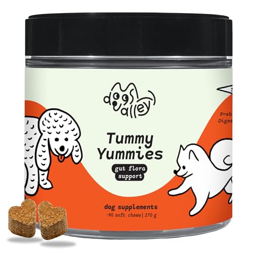 Dogs Valley Vitamine für Hunde Tummy Yummies - 90Stk Hundeleckerlis, Lebergeschmack - Getreide- & Glutenfrei - Magen-Support mit Pro-/Prebiotika & Omega-Fettsäuren von Dogs Valley