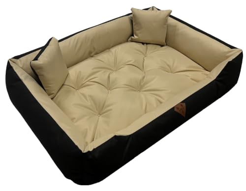 Dogs4Life Hundebett XXL | Hundebett große Hunde | Hundebett mittelgroße Hunde | Hundebett kleine Hunde | Hundekissen | Outdoor Hundebett | Wasserdicht | Beige 75 x 65 x 15 cm von Dogs4Life