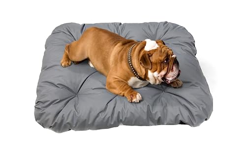 Dogs4Life stilvolles, wasserbeständiges Hundebett aus hochwertigem Codura PVC-Material - antiallergen, strapazierfähig und langlebig - leicht zu reinigen (L 120 x 90 cm Grau) von Dogs4Life