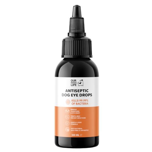 DogsLife Hundeaugentropfen für Infektionen, 100 ml, antiseptische Augentropfen für Hunde, Welpen, Katzen und Tiere. Erste Hilfe bei trockenen, juckenden, gereizten, kranken und tränenfleckigen Augen. von DogsLife