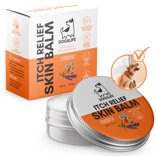 Hundehautbalsam | Bio & natürlicher Hautbalsam für Hunde | Juckreiz lindern, geschädigte Haut schützen und Hundeallergien bekämpfen | Sicher zu nehmen und leicht Juckreiz Linderung für Hunde von DogsLife