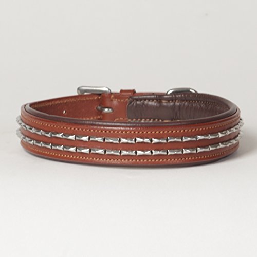 Magnifico Hundehalsband, gepolstert, echtes Leder, mit Nieten, Größe M von Dogstuff Depot
