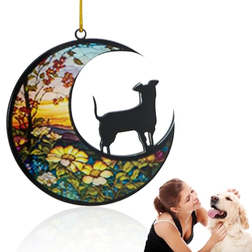 Dohia Hunde-Sonnenfänger für Hunderassen, Sonnenfänger, Haustierverlust, Sonnenfänger, Geschenke für Hundeliebhaber, D1-YLGGGJ von Dohia