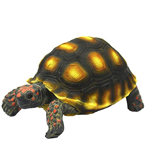 Hobby Terraristik Turtle 1 I 10 x 6 x 5 cm I Naturgetreu nachgebildet I Kunstharz I Für Innen- sowie Außenbereich von Hobby