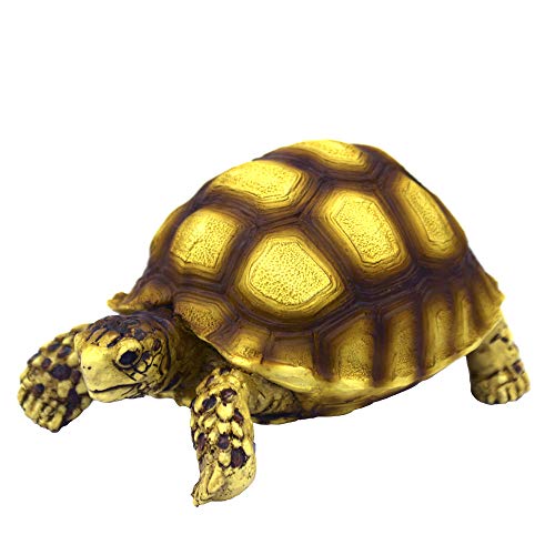 Hobby Terraristik Turtle 2 I 10 x 6 x 5 cm I Naturgetreu nachgebildet I Kunstharz I Für Innen- sowie Außenbereich von Dohse Aquaristik