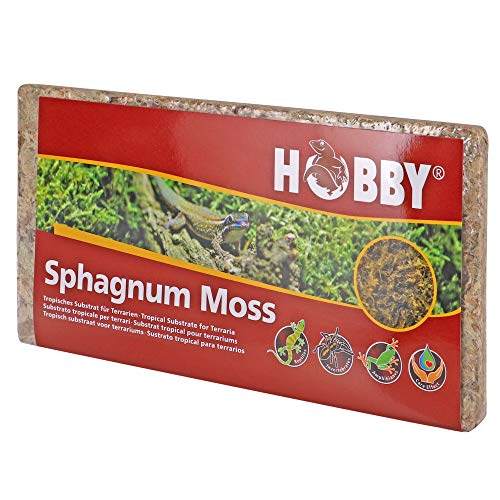 Dohse Aquaristik Hobby 34170 Spaghnum Moss, tropisches Substrat für Terrarien von Dohse Aquaristik