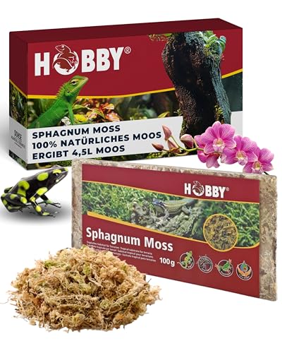 Hobby Terraristik Sphagnum Moss I 100g I tropisches Substrat für Terrarien und Orchideen I Moos für Terrarien I 100% natürlich und ohne chemische Zusätze I Moos zur Erhöhung der Luftfeuchtigkeit von Hobby