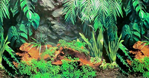 Dohse Aquaristik Rückwandfolie 140 cm x 60 cm Terrarien Aquarien Rückwand Hintergrund Dekoration Poster Dohse Aquaristik Rückwandfolie 140 cm x 60 cm Terrarien Aquarien Rückwand Hintergrund Dekoration Poster von Dohse Aquaristik