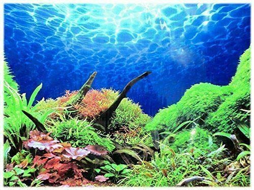 Rückwandfolie 100 cm x 30 cm Aquarien Rückwand Hintergrund Dekoration Poster von Dohse Aquaristik