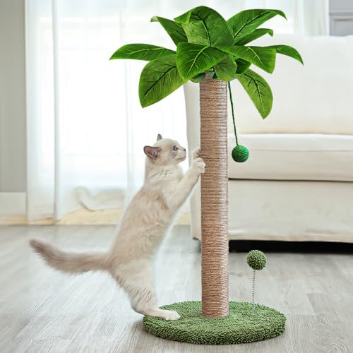 Dohump Kratzpsäulen für Katzen, 66cm Kratzstamm für Katzen mit Premium Sisalseil, süßer Kratzbaum mit hängenden und federnden Bällen für kleine Innenkatzen von Dohump