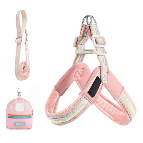 Doiyislem Hundegeschirr Mit Führleine | Verstellbares Design - Inklusive Aufbewahrungstasche Atmungsaktiv Passform Für Training Wandern Spazieren Tierbedarf Doiyislem Hundegeschirr Mit Führleine | Verstellbares Design - Inklusive Aufbewahrungstasche Atmungsaktiv Passform Für Training Wandern Spazieren Tierbedarf von Doiyislem