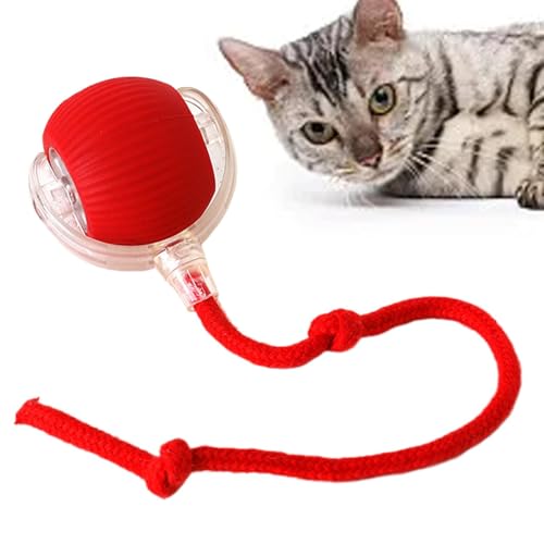Doiyislem Intelligenter interaktiver Spielzeugball für Haustiere, interaktiver Katzenball - Kätzchen rollender Ball | Automatisches bewegliches Hundespielzeug, Welpenspielzeug, intelligenter rollender Doiyislem Intelligenter interaktiver Spielzeugball für Haustiere, interaktiver Katzenball - Kätzchen rollender Ball | Automatisches bewegliches Hundespielzeug, Welpenspielzeug, intelligenter rollender von Doiyislem