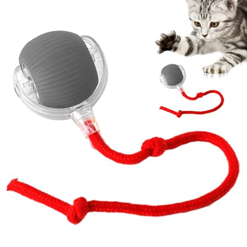 Doiyislem Interaktiver Katzenball, Interaktiver Katzenspielzeugball - Automatisches Haustier-Übungsspielzeug - Automatisches bewegliches Hundespielzeug, Welpenspielzeug, intelligenter rollender Ball, Doiyislem Interaktiver Katzenball, Interaktiver Katzenspielzeugball - Automatisches Haustier-Übungsspielzeug - Automatisches bewegliches Hundespielzeug, Welpenspielzeug, intelligenter rollender Ball, von Doiyislem