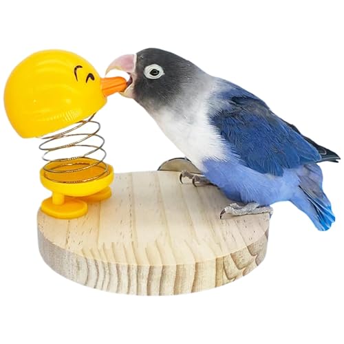 Doiyislem Kauspielzeug für Vögel, Spielzeug für Vogelkäfige | Kauball für Papageien, Spielzeug für Sittiche - Cartoon-Vogel-Papageien-Futtersuchspielzeug, Käfigspielzeug-Dekoration für Wellensittiche, Doiyislem Kauspielzeug für Vögel, Spielzeug für Vogelkäfige | Kauball für Papageien, Spielzeug für Sittiche - Cartoon-Vogel-Papageien-Futtersuchspielzeug, Käfigspielzeug-Dekoration für Wellensittiche, von Doiyislem