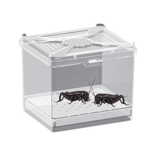 Doiyislem Terrarium Für Springspinnen - Kleines Terrarium | Belüfteter Lebensraum Für Wissenschaftsprojekte Bildung Zuhause Wohnzimmer Reisen Camping von Doiyislem